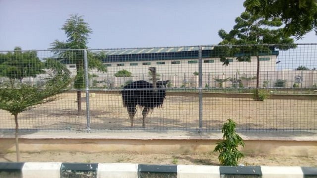 Aldusar Parks and Zoo